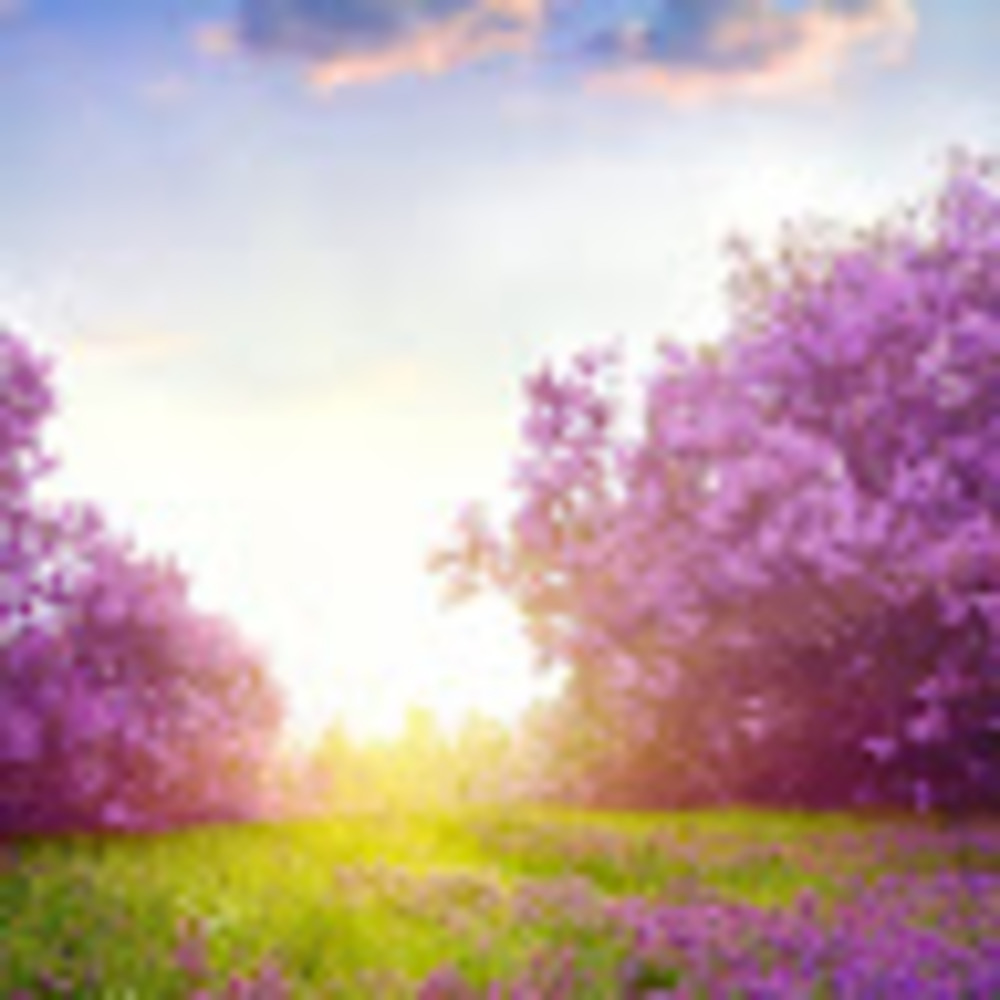 Meet your Posher, Esther